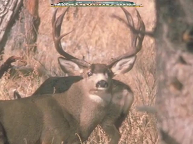 Knight & Hale&reg; Magnum Grunter Deer Call  - image 10 from the video