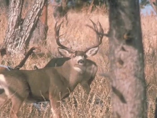 Knight & Hale&reg; Magnum Grunter Deer Call  - image 6 from the video