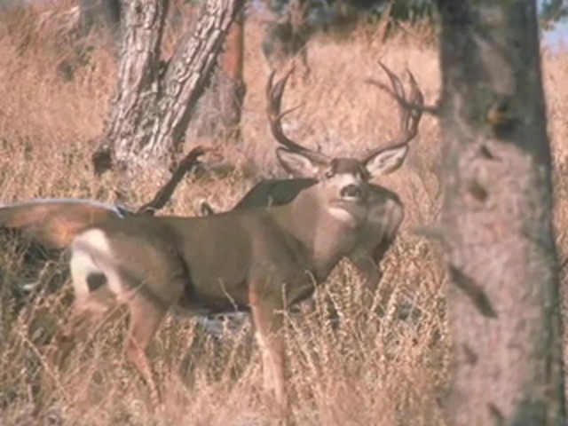 Hunter's Specialties&reg; BucGrunter Deer Call  - image 6 from the video
