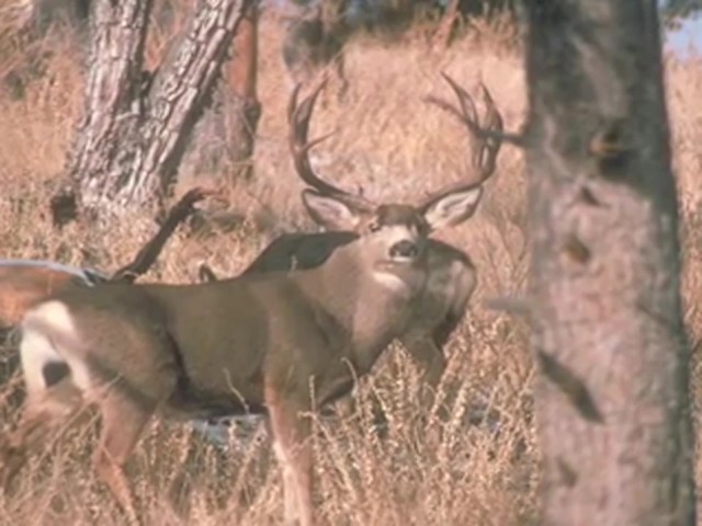 Hunter's Specialties&reg; BucGrunter Deer Call  - image 8 from the video