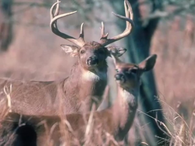 Hunter's Specialties&reg; True Talker Deer Call  - image 7 from the video