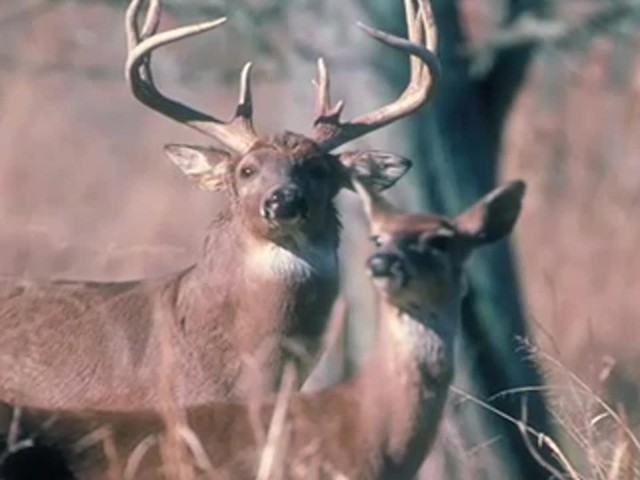 Hunter's Specialties&reg; True Talker Deer Call  - image 8 from the video