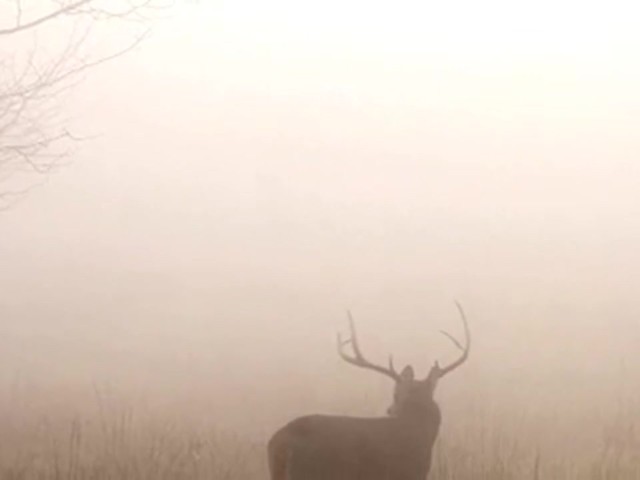 Lohman&reg; Dynamite Rattler Deer Call - image 6 from the video