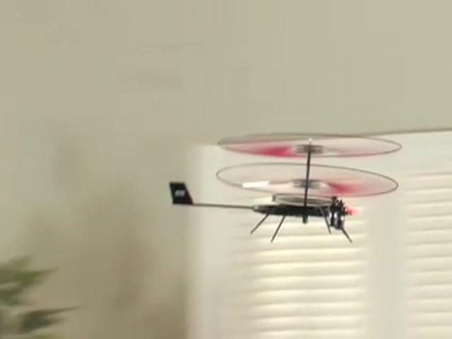 Remote - controlled Firefly Helicopter  - image 4 from the video