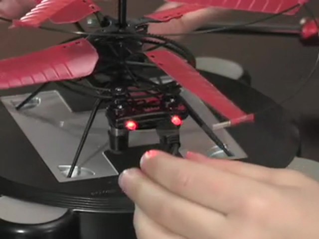 Remote - controlled Firefly Helicopter  - image 7 from the video