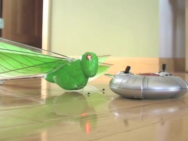 MicroGear&#153; Radio - controlled Flying Grasshopper - image 1 from the video