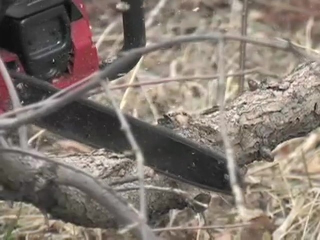 Electric Chainsaw Sharpener - image 9 from the video