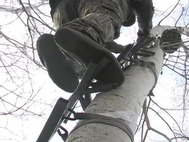 4 Gorilla&#153; Climbing Stick Sections - image 9 from the video