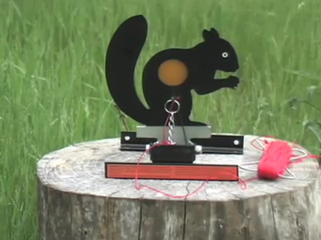Gamo&reg; Whisper&reg; Air Rifle with 3 - 9x40 mm Scope and Bonus Squirrel Target - image 3 from the video