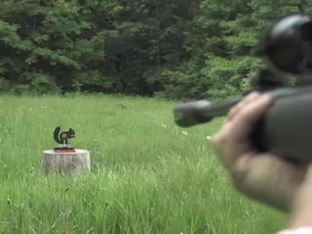 Gamo&reg; Whisper&reg; Air Rifle with 3 - 9x40 mm Scope and Bonus Squirrel Target - image 7 from the video