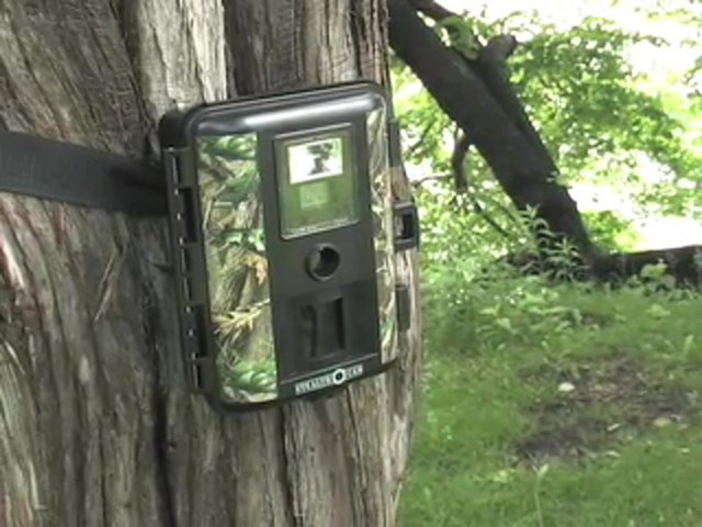 Jim Shockey Sniper Game Camera - image 1 from the video