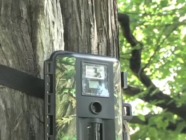 Jim Shockey Sniper Game Camera - image 10 from the video
