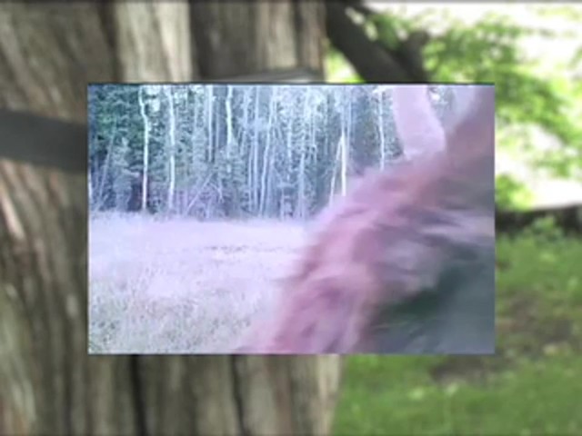 Jim Shockey Sniper Game Camera - image 2 from the video