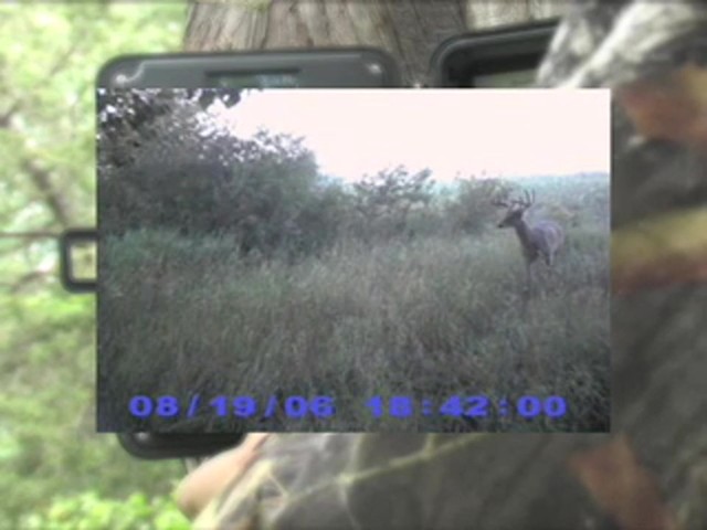 Jim Shockey Sniper Game Camera - image 5 from the video