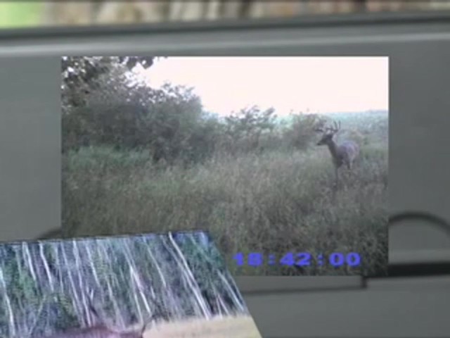 Jim Shockey Sniper Game Camera - image 6 from the video