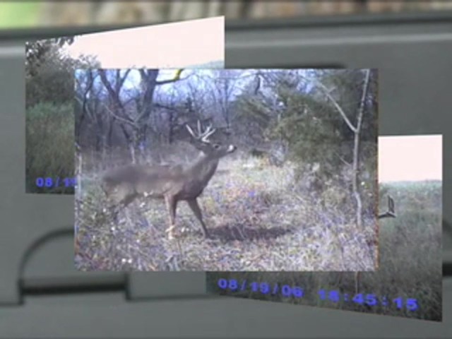 Jim Shockey Sniper Game Camera - image 7 from the video