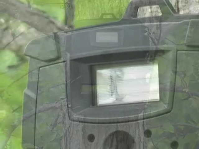 Moultrie&reg; Game Spy&#153; D - 40 Digital Flash Trail Camera - image 1 from the video