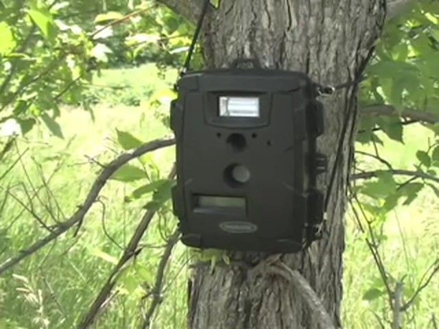 Moultrie&reg; Game Spy&#153; D - 40 Digital Flash Trail Camera - image 10 from the video
