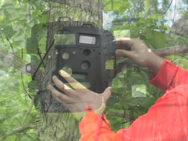 Moultrie&reg; Game Spy&#153; D - 40 Digital Flash Trail Camera - image 4 from the video