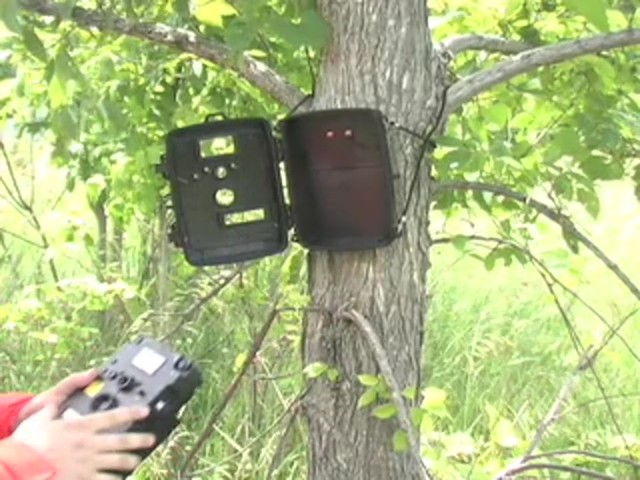 Moultrie&reg; Game Spy&#153; D - 40 Digital Flash Trail Camera - image 9 from the video