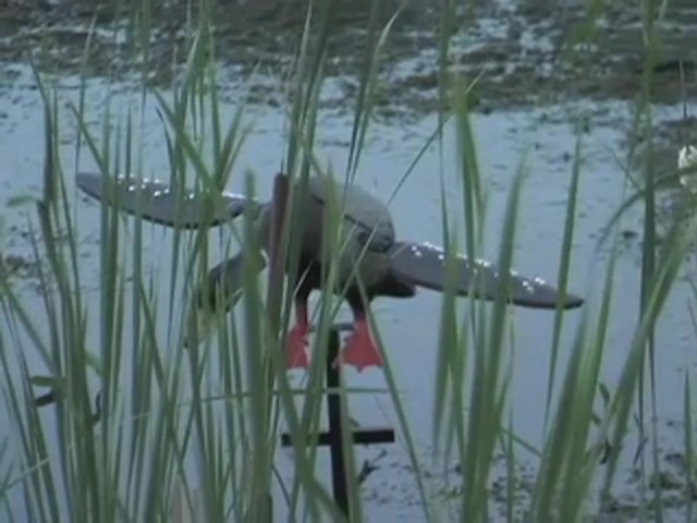 Fowl Weather LED Lucky Duck Decoy - image 10 from the video
