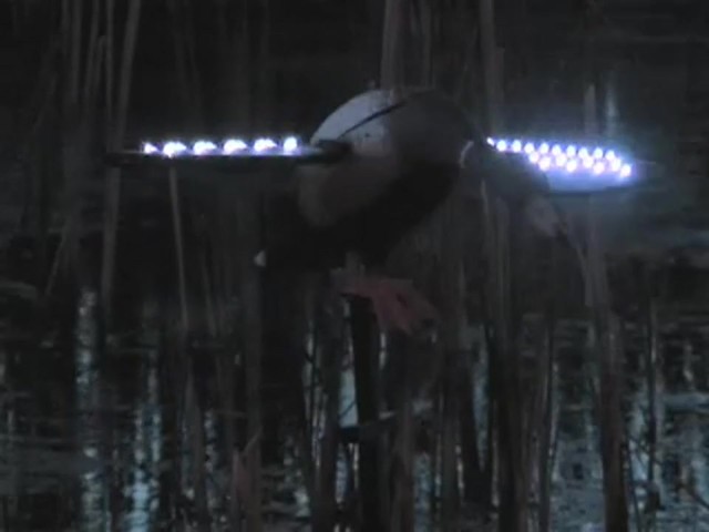 Fowl Weather LED Lucky Duck Decoy - image 4 from the video