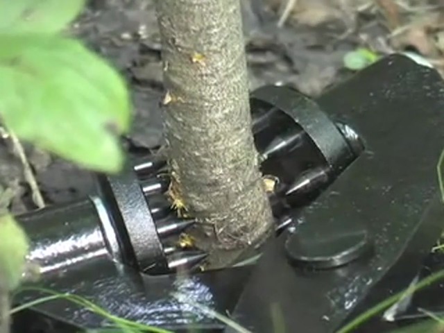 Brush Grubber&reg; Tree Tongs - image 9 from the video