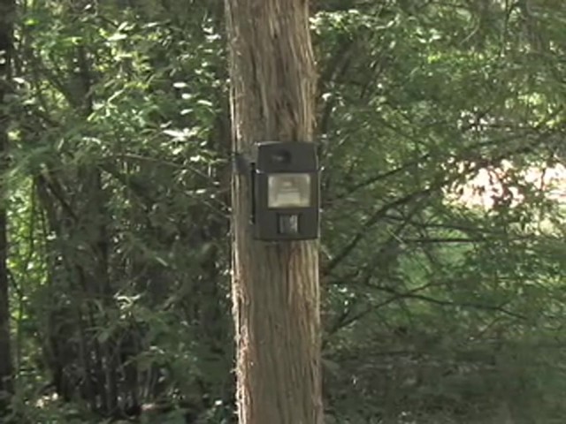 Stealth Cam&reg; I540 IR Game Camera Black - image 10 from the video