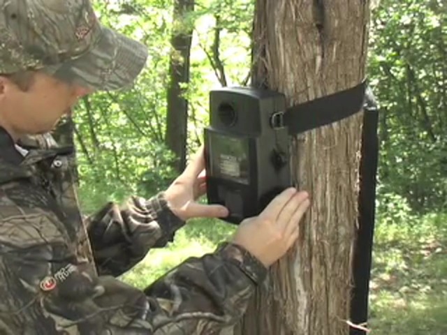 Stealth Cam&reg; I540 IR Game Camera Black - image 9 from the video
