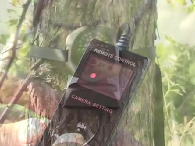 Edge&#153; Encounter Game Camera  - image 6 from the video