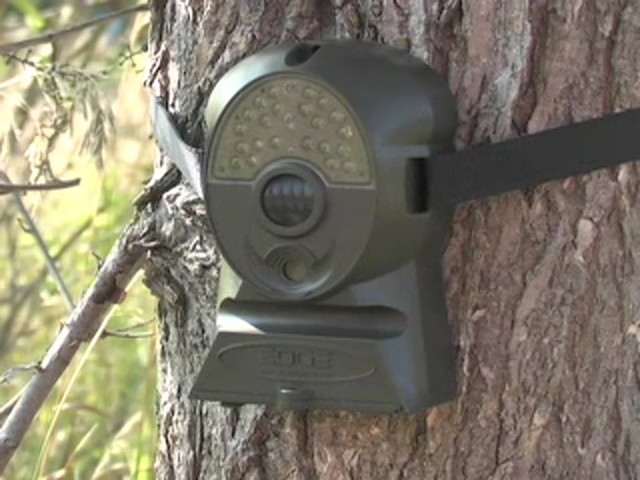 Edge&#153; Encounter Game Camera  - image 9 from the video
