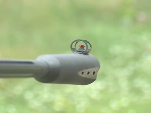 Gamo&reg; Silent Cat .177 cal. Air Rifle - image 8 from the video