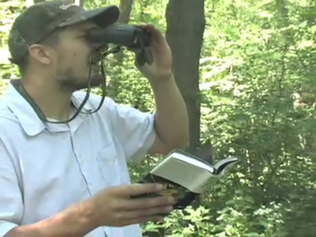 Steiner&reg; Predator Pro 8x30 mm Binoculars - image 6 from the video