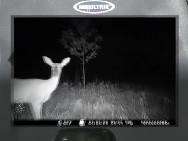 Game Spy&#153; I - 40 Digital Trail Camera Field - ready Kit - image 2 from the video