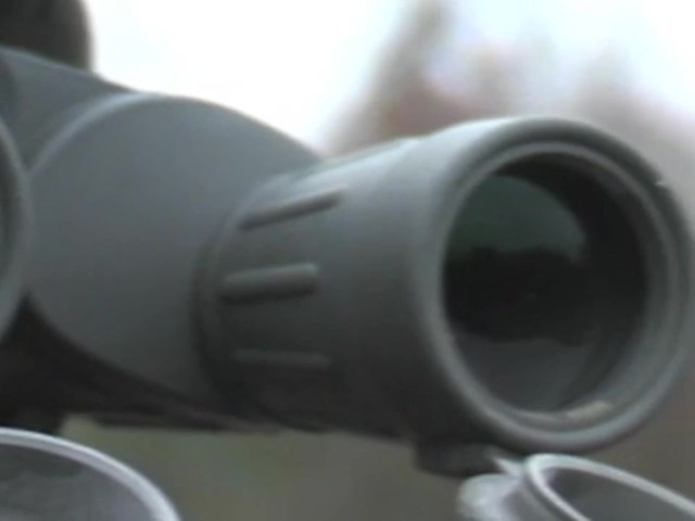Steiner&reg; Predator&reg; 12x40 mm Binoculars  - image 5 from the video