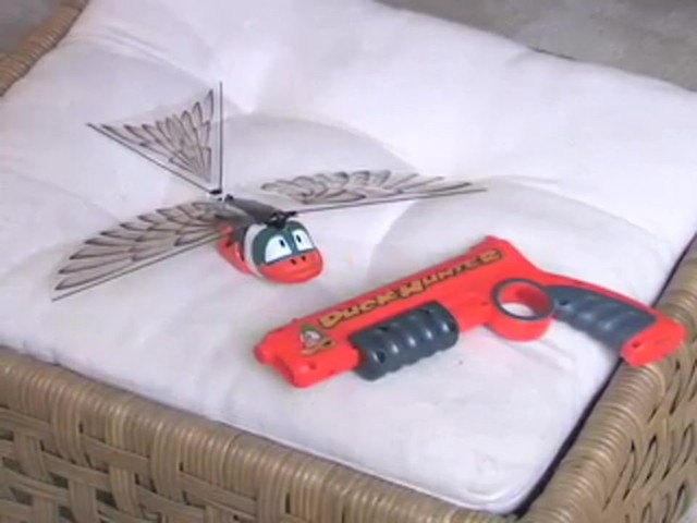 iFly&reg; RC Duck Hunter - image 1 from the video