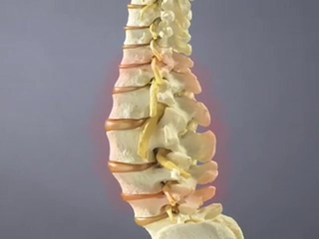 Forever Back Pain Relief - image 1 from the video
