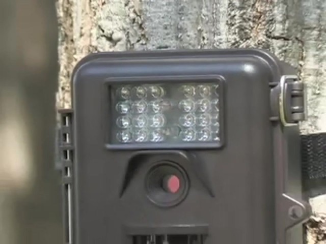 Bushnell&reg; Trophy Cam&#153; - image 6 from the video