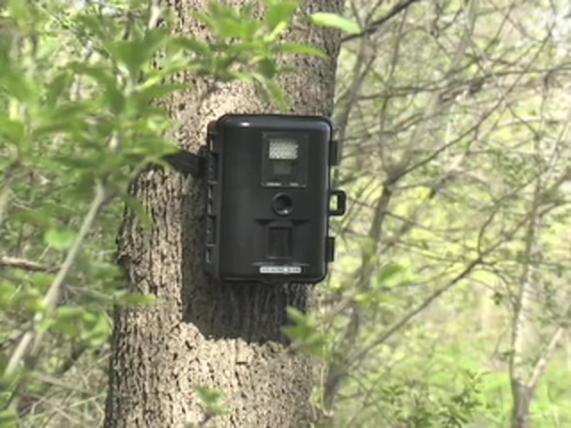 StealthCam&trade; 5.0 MP Digital IR Scouting Camera - image 1 from the video
