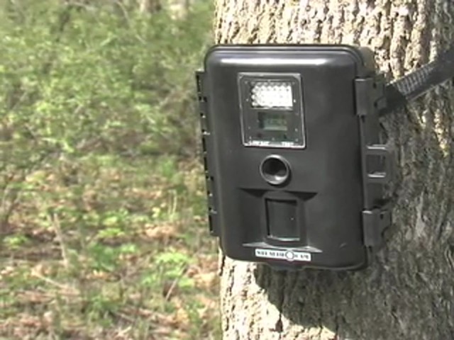 StealthCam&trade; 5.0 MP Digital IR Scouting Camera - image 5 from the video