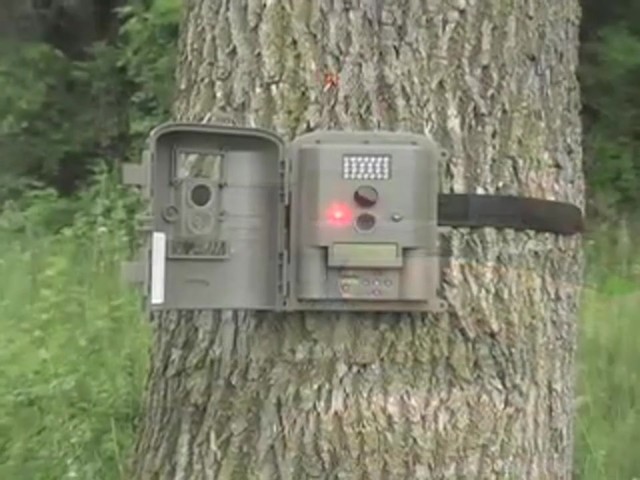 Moultrie&reg; Game Spy D - 55 IR Game Camera - image 4 from the video