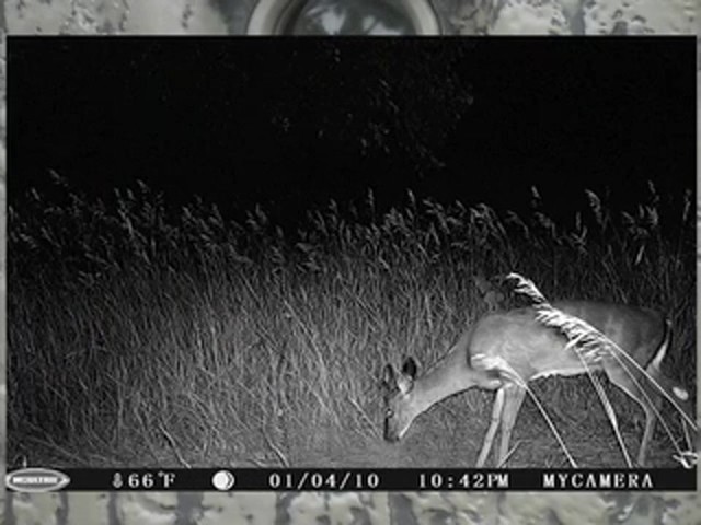 Moultrie&reg; Game Spy D - 55 IR Game Camera - image 9 from the video