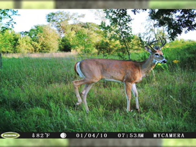 Game Spy&#153; D - 55 Digital Game Camera - image 2 from the video