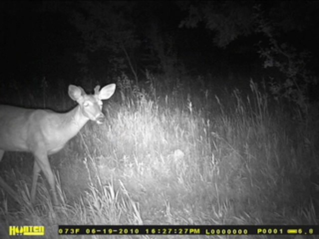 Hunten Outdoors&reg; 5MP Infrared Digital Game Camera - image 6 from the video