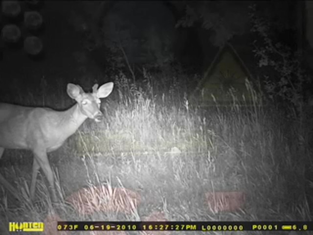 Hunten Outdoors&reg; 5MP Infrared Digital Game Camera - image 7 from the video