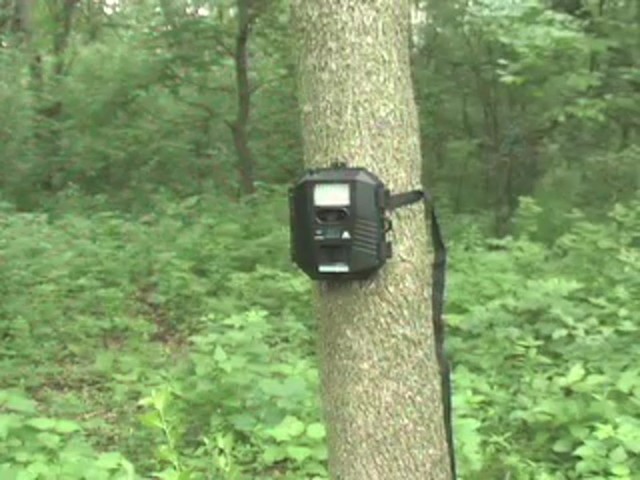 Stealth Cam&reg; Prowler HD Camera - image 10 from the video