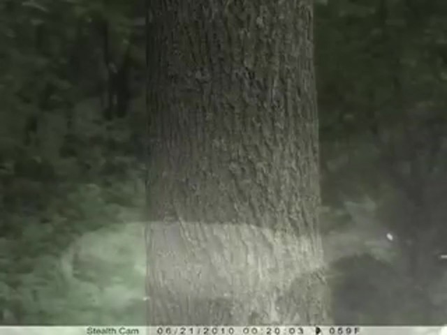 Stealth Cam&reg; Prowler HD Camera - image 5 from the video
