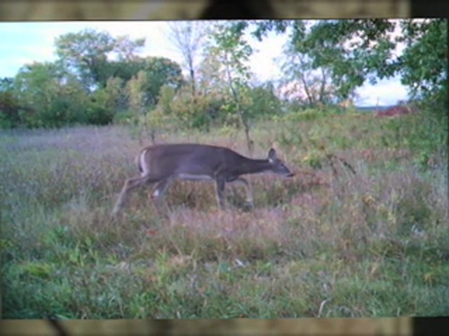 SpyPoint&#153; IR6 Game Camera Camo - image 5 from the video