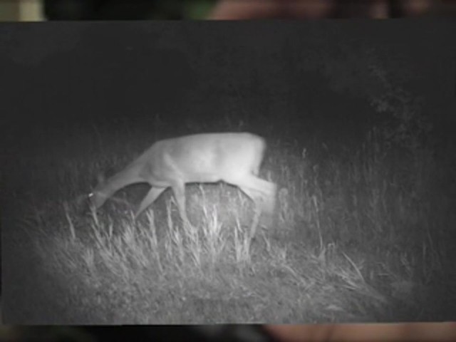 SpyPoint&#153; IR6 Game Camera Camo - image 7 from the video