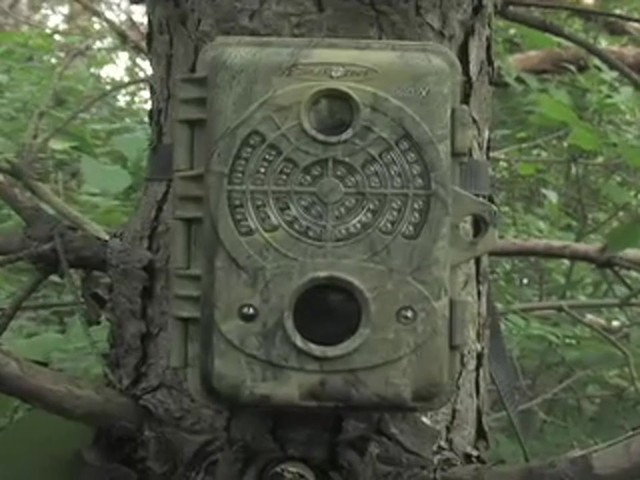 SpyPoint&#153; Pro - X 12 - megapixel Game Camera - image 1 from the video